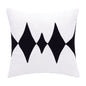 20" Black and White Throw Pillow