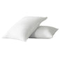 Set of Two Ivory Linen Standard Pillowcases