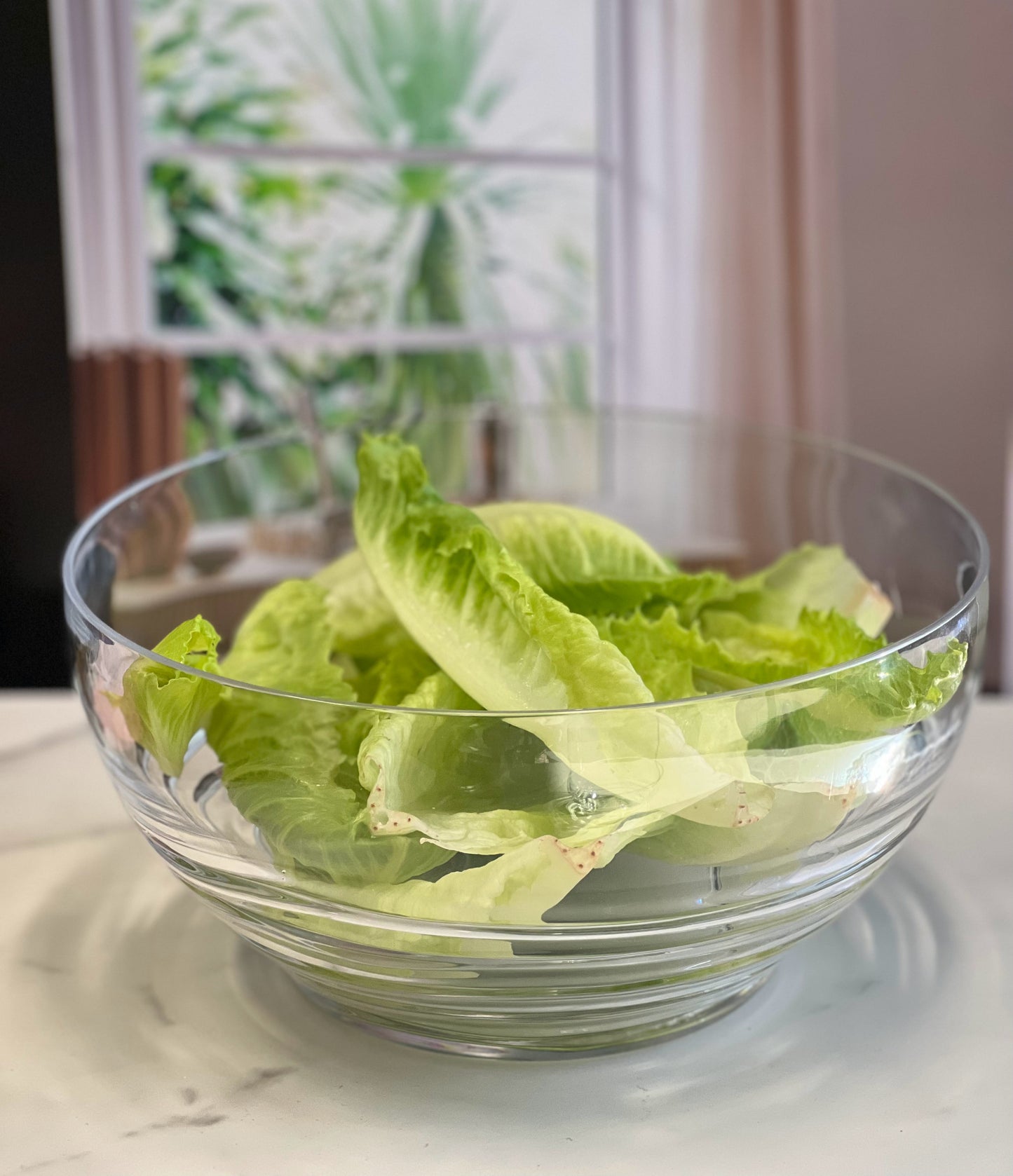 10" Clear Acrylic Round Salad Bowl