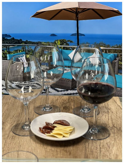 Set of Four Clear Tritan Plastic Stemmed All Purpose Wine Glass