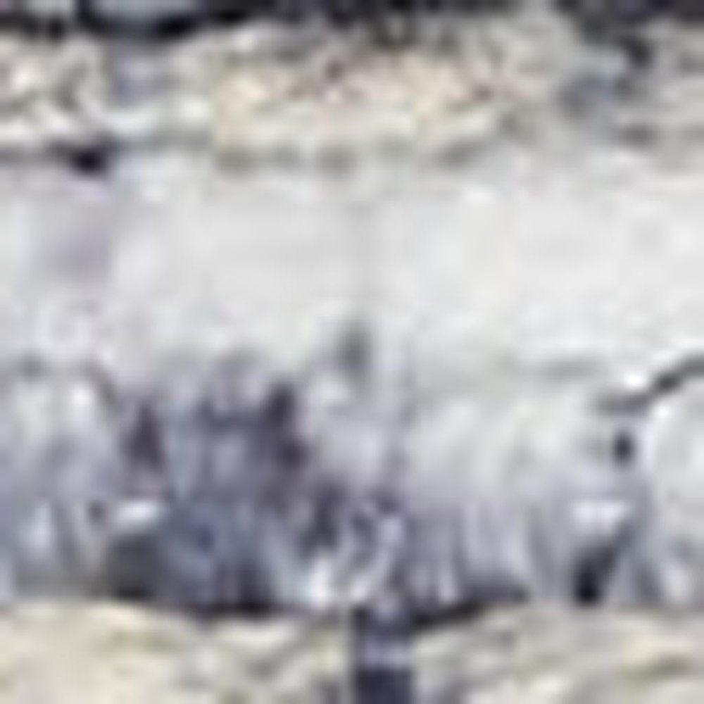 6' X 9' Blue And Pink Floral Power Loom Distressed Washable Area Rug