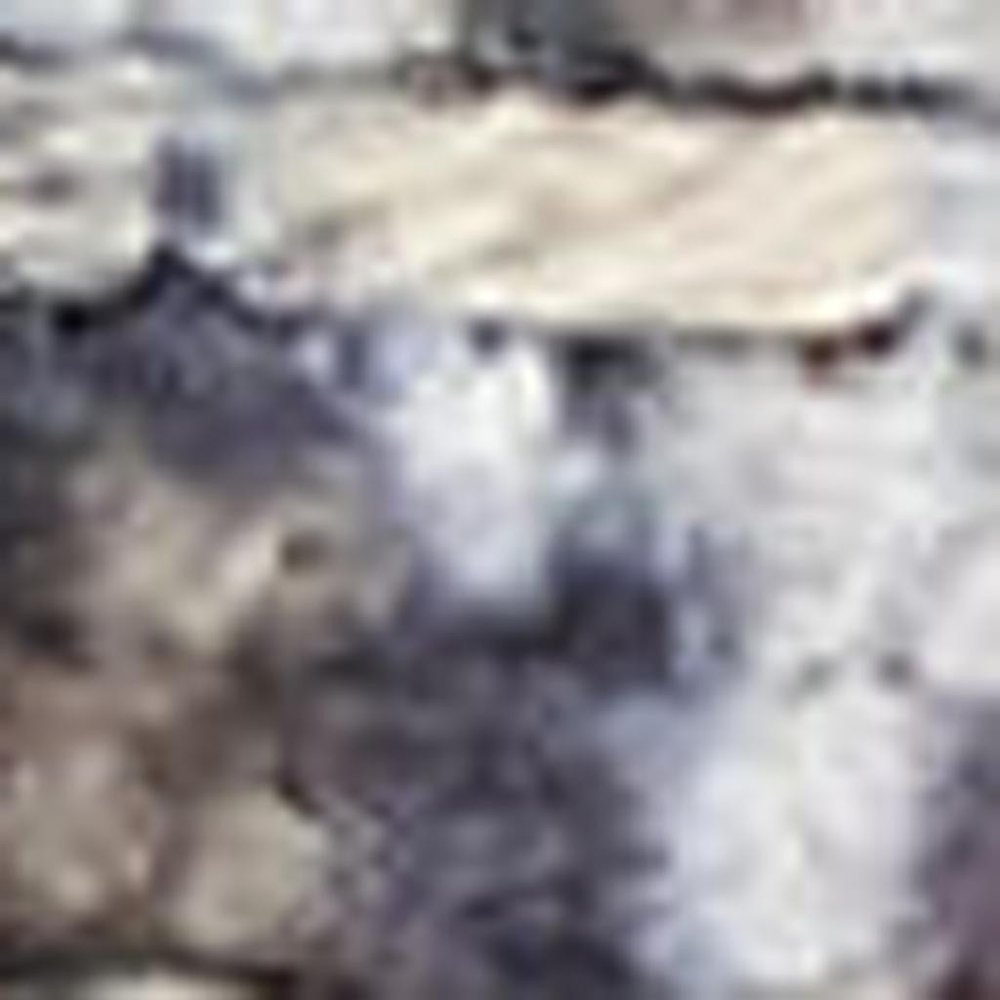 5' X 7' Gray Floral Power Loom Distressed Washable Area Rug