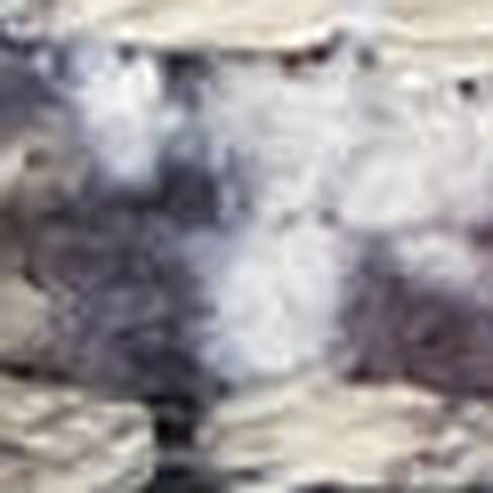 8' X 10' Gray Ivory and Blue Floral Distressed Washable Area Rug