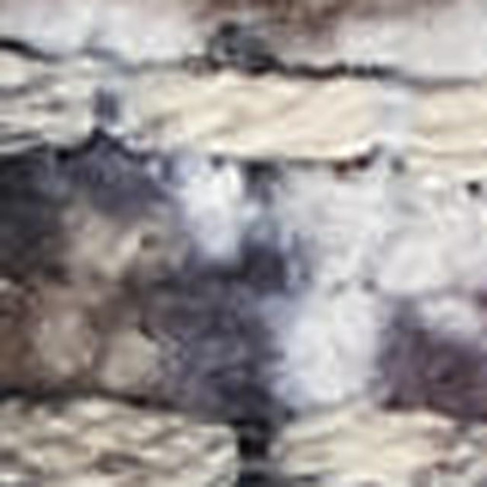 8' X 10' Gray Ivory and Blue Floral Distressed Washable Area Rug