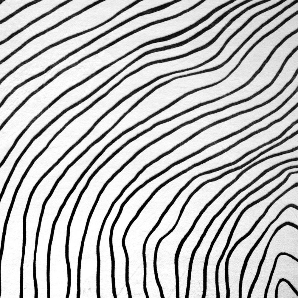 5' X 8' Black and White Abstract Distressed Area Rug