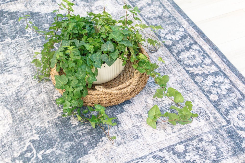 4' X 6' Black and Gray Oriental Area Rug