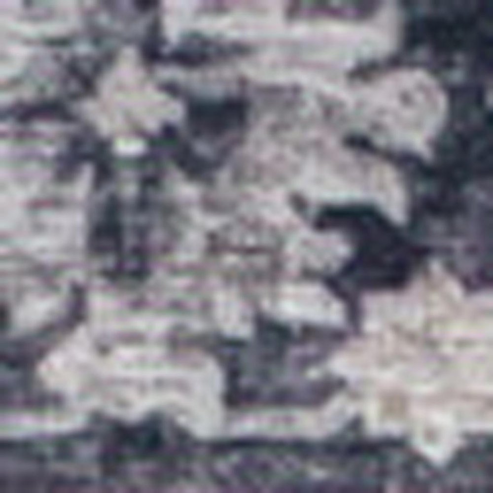 7' X 10' Black and Gray Oriental Area Rug