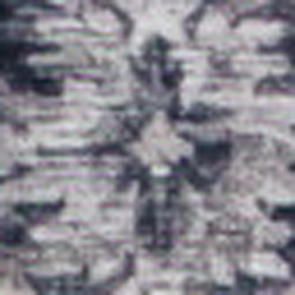 8' X 11' Black and Gray Oriental Area Rug