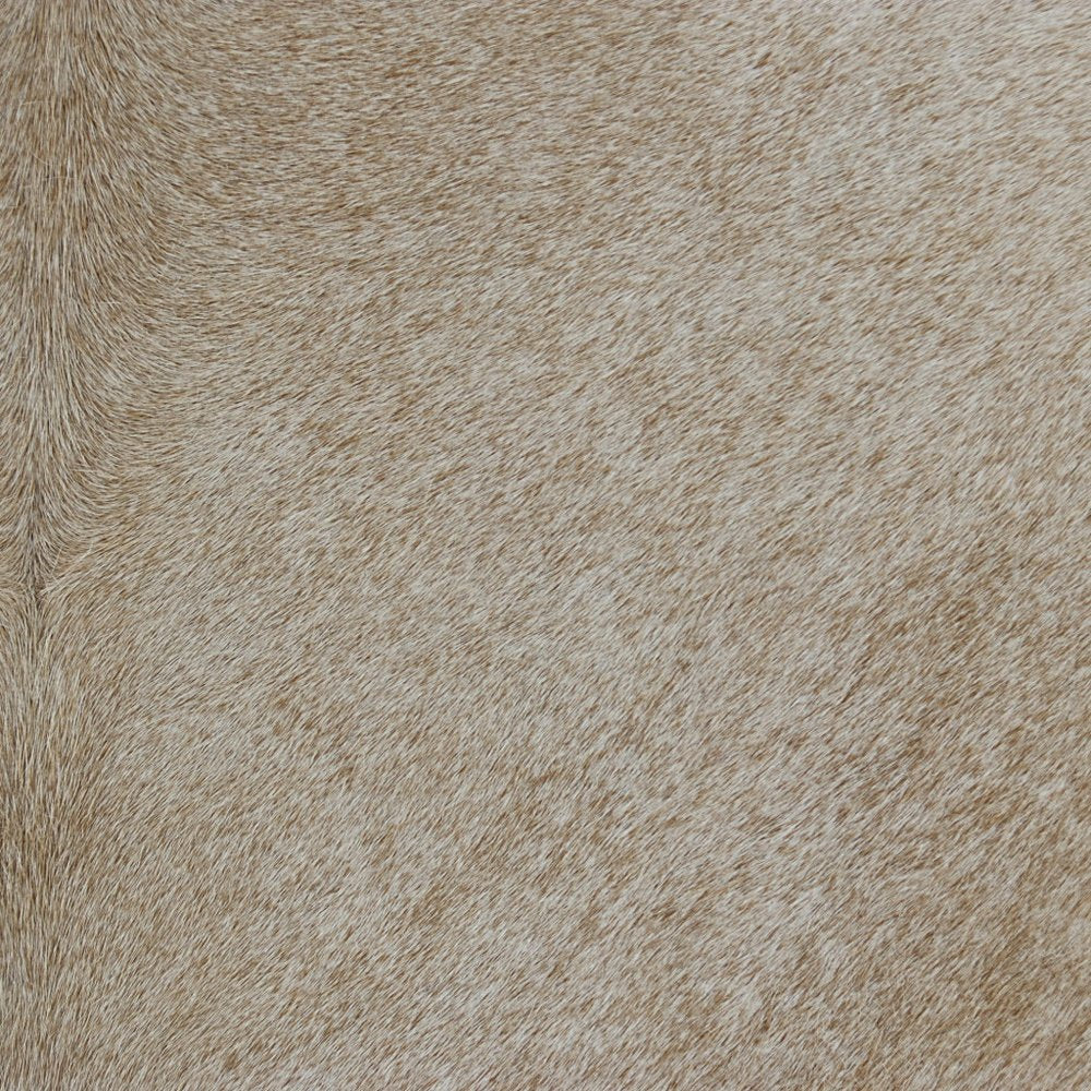 20" Beige and Ivory Throw Pillow