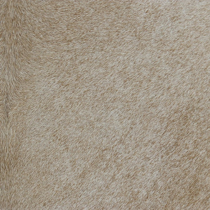 20" Beige and Ivory Throw Pillow