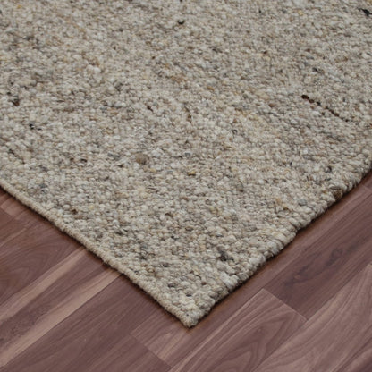 9' X 12' Beige and Gray Hand Woven Area Rug