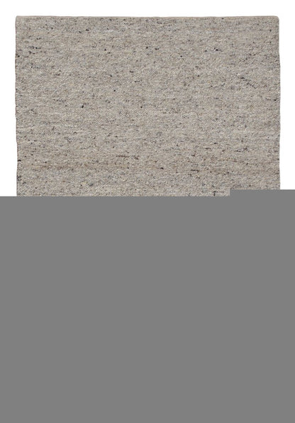9' X 12' Beige and Gray Hand Woven Area Rug