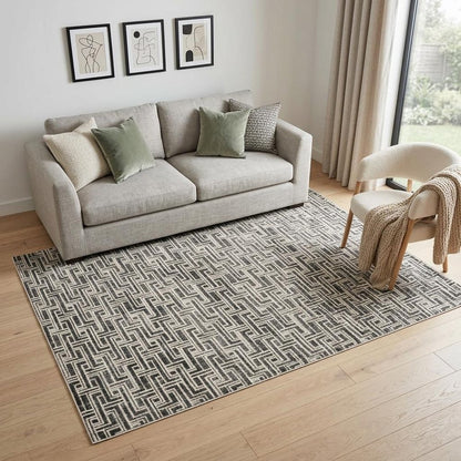 5' X 7' Gray Geometric Distressed Area Rug