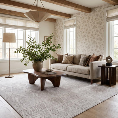 4' X 6' Gray and Ivory Geometric Distressed Area Rug