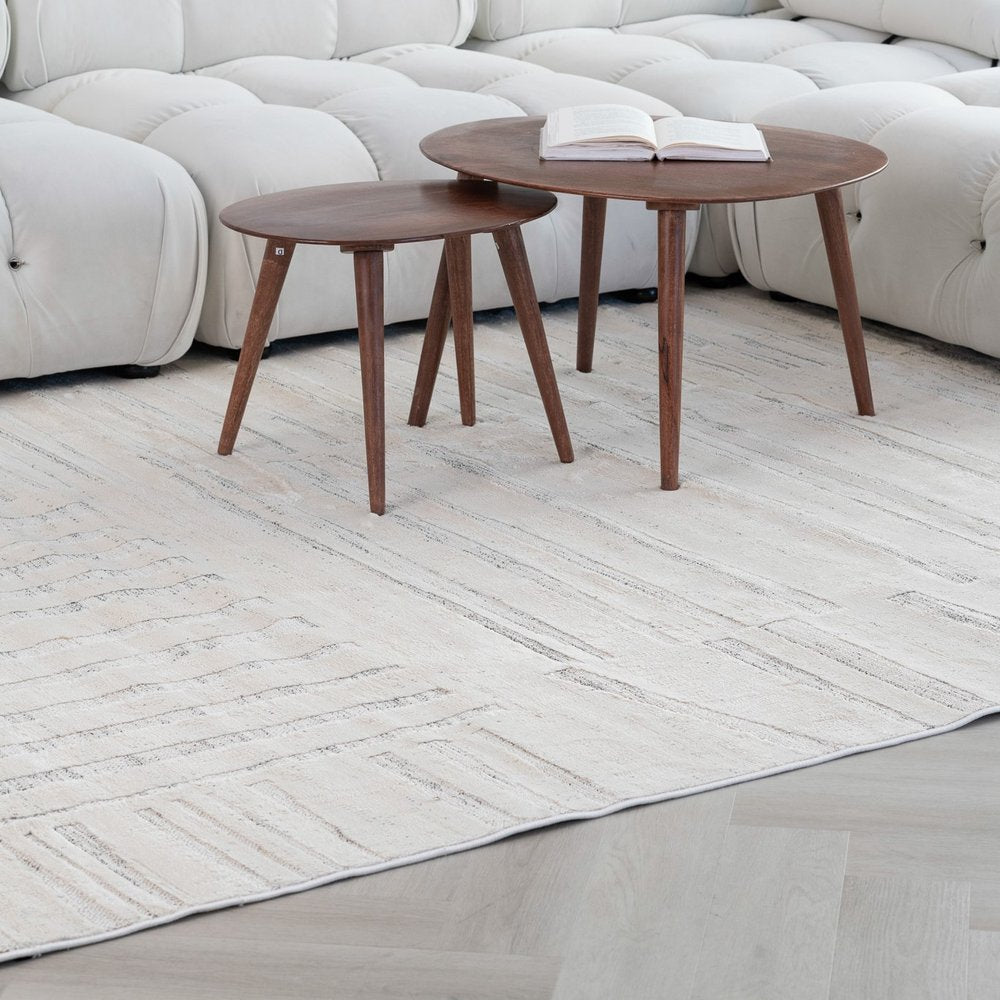 4' X 6' Gray and Beige Geometric Distressed Area Rug