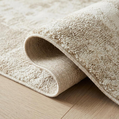 4' X 6' Cream and Beige Abstract Distressed Area Rug