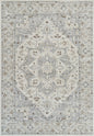 7' X 10' Gray and Beige Oriental Distressed Area Rug