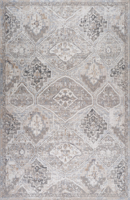 7' X 10' Blue and Gray Oriental Distressed Area Rug