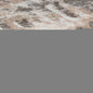 4' X 6' Beige and Brown Abstract Distressed Area Rug