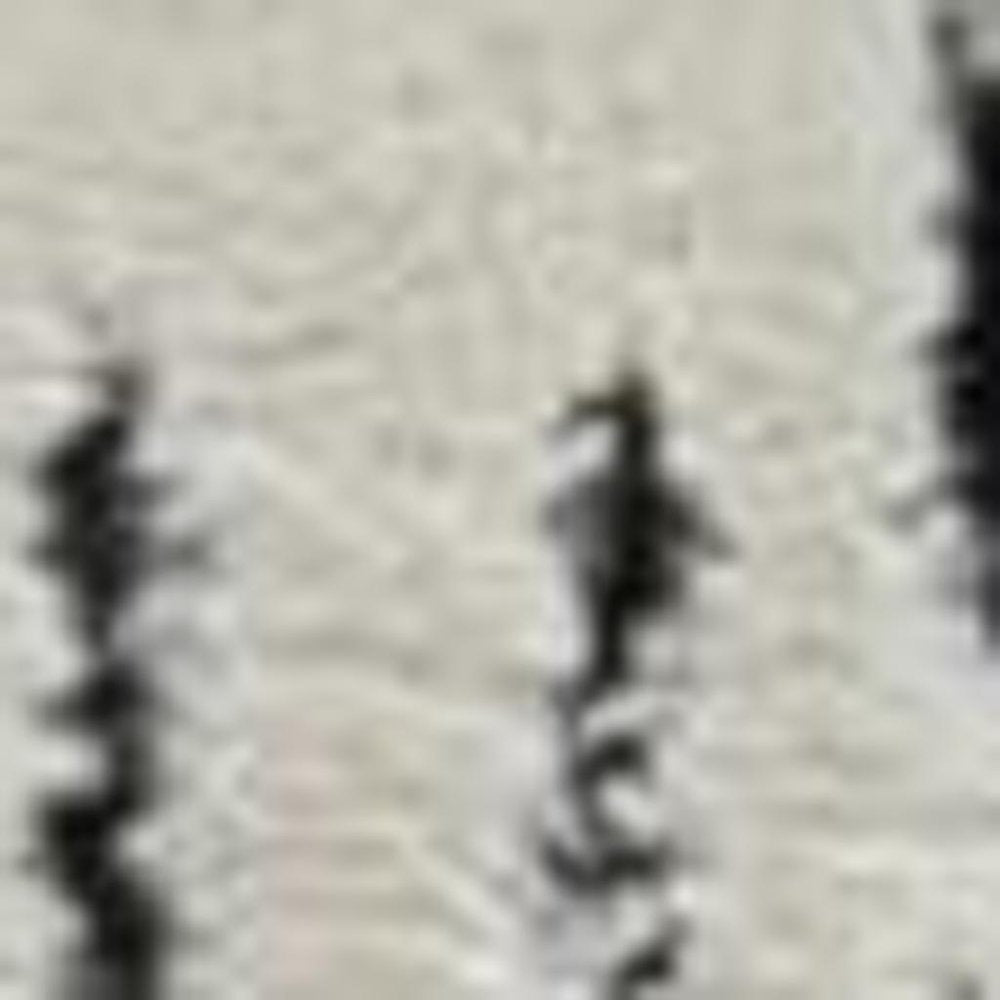 4' X 6' Cream and Black Abstract Distressed Area Rug